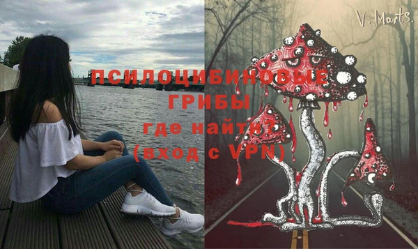 героин Алексин