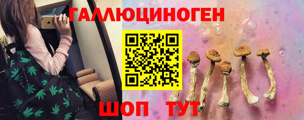 наркотики  Галлюциногенные грибы прущие грибы  Вход с VPN  Котельники 